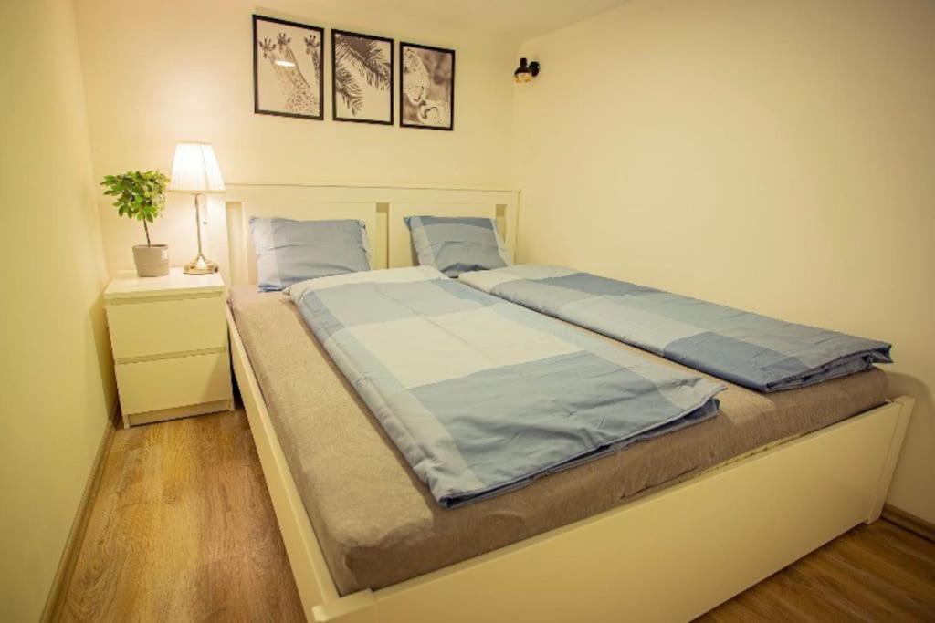 Cosy 2 Bedroom Flat In Akacfa St., Sol Budapest Exteriör bild