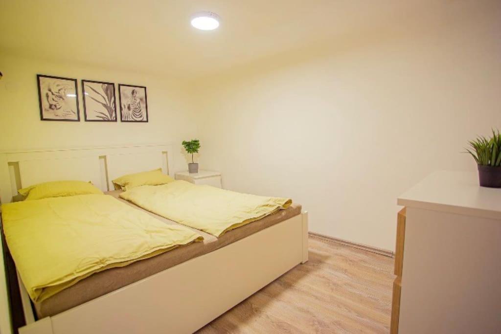 Cosy 2 Bedroom Flat In Akacfa St., Sol Budapest Exteriör bild